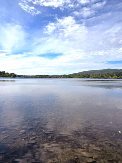 Bullard Woods - Stockbridge, MA