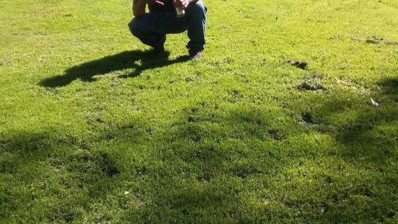 Constitution Park - Stockton, CA