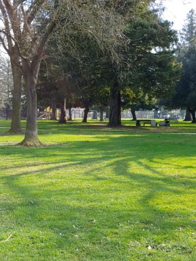 Sherwood Park - Stockton, CA