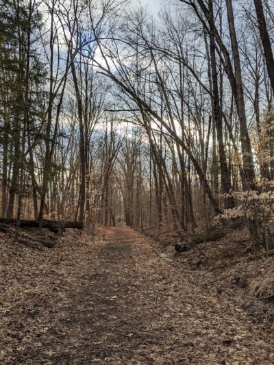 Rest Plaus O&W Rail Trail - Stone Ridge, NY