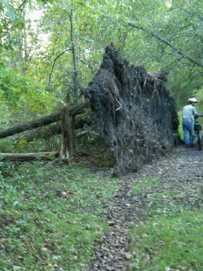 Rest Plaus O&W Rail Trail - Stone Ridge, NY