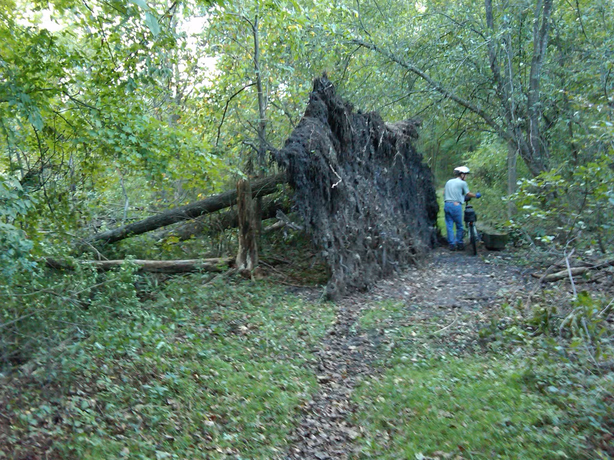Rest Plaus O&W Rail Trail - Stone Ridge, NY