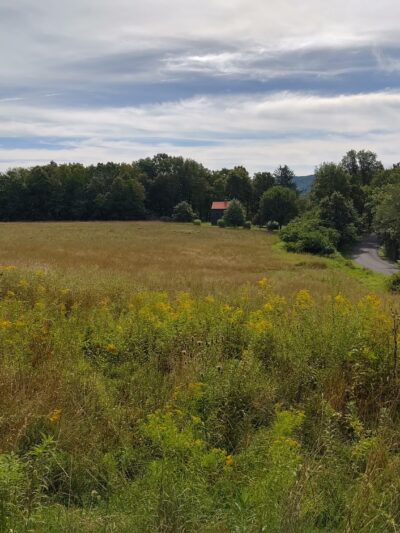 Rest Plaus O&W Rail Trail - Stone Ridge, NY