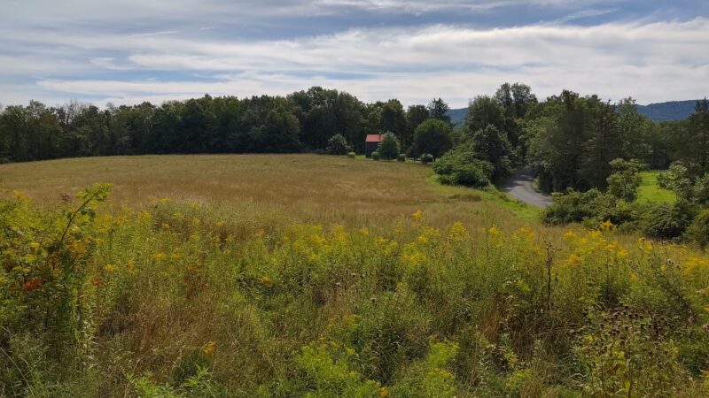 Rest Plaus O&W Rail Trail - Stone Ridge, NY