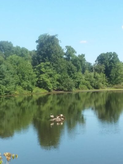 Veterans Memorial Park - Stony Point, NY