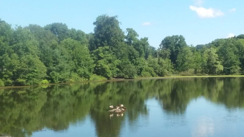 Veterans Memorial Park - Stony Point, NY