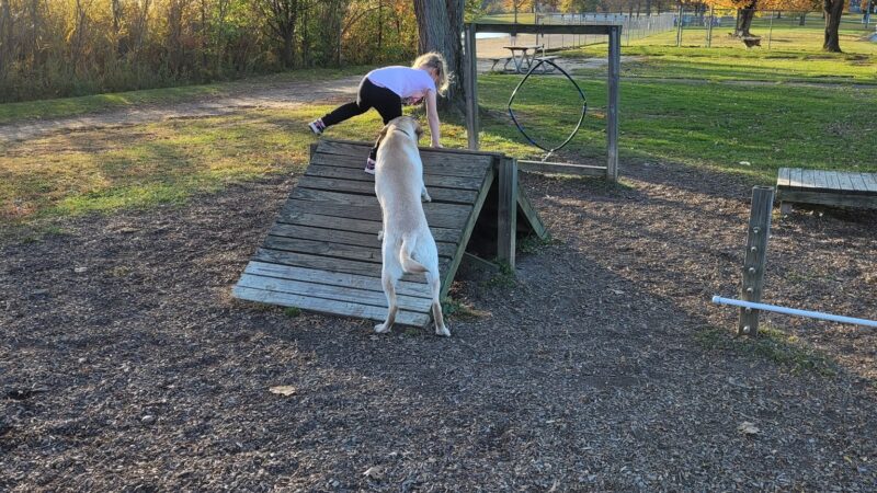 Bow Wow Beach - Stow, OH