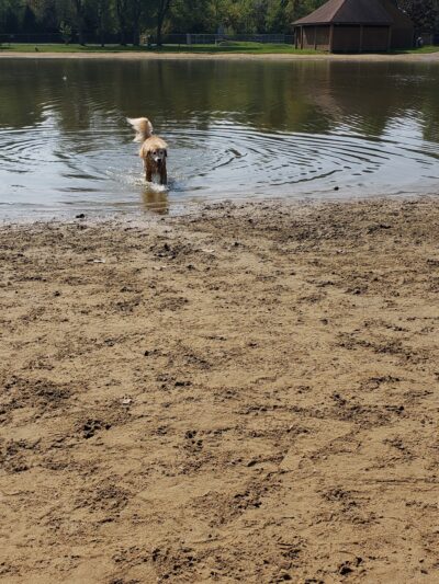 Bow Wow Beach - Stow, OH