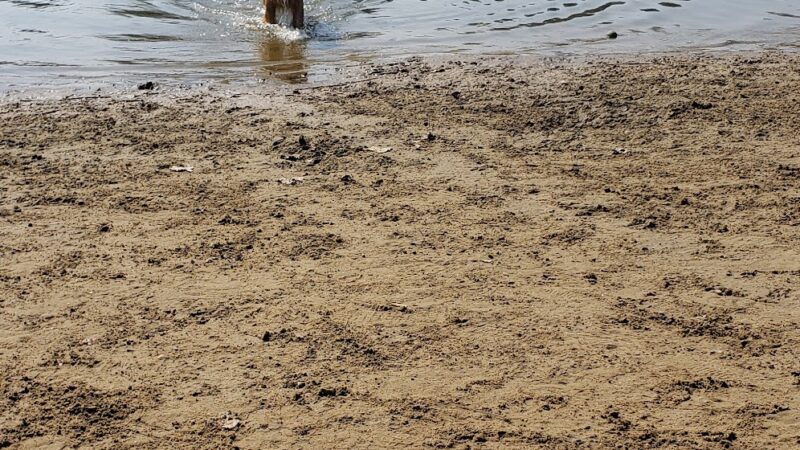 Bow Wow Beach - Stow, OH