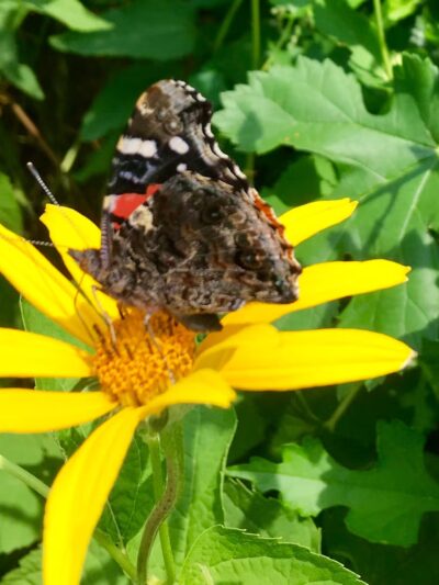 Strasburg Community Park - Strasburg, PA