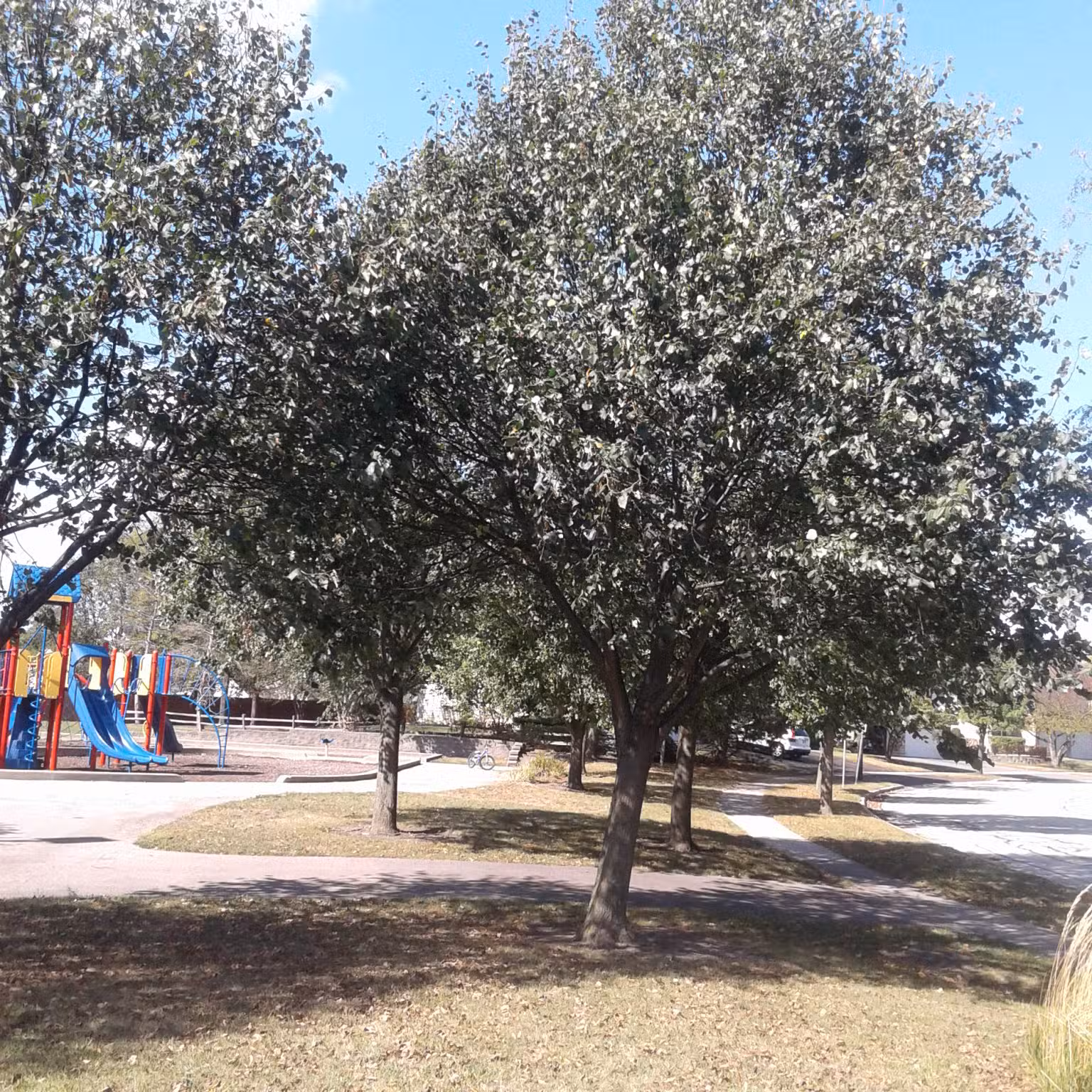 Meadows Park - Streamwood, IL