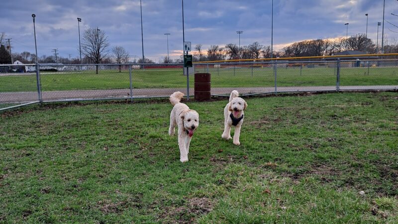 Lion’s Club Dog Park - Streator, IL