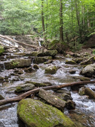 Dunnfield Creek Natural Area trailhead - Stroudsburg, PA