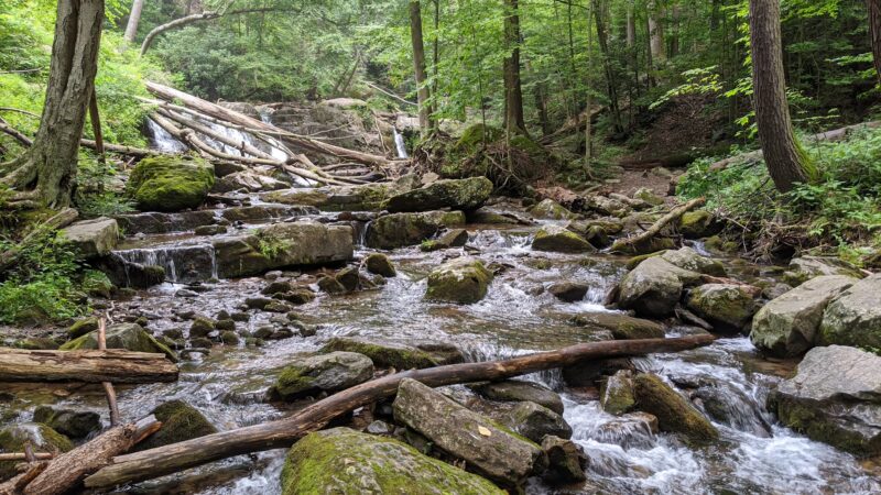 Dunnfield Creek Natural Area trailhead - Stroudsburg, PA