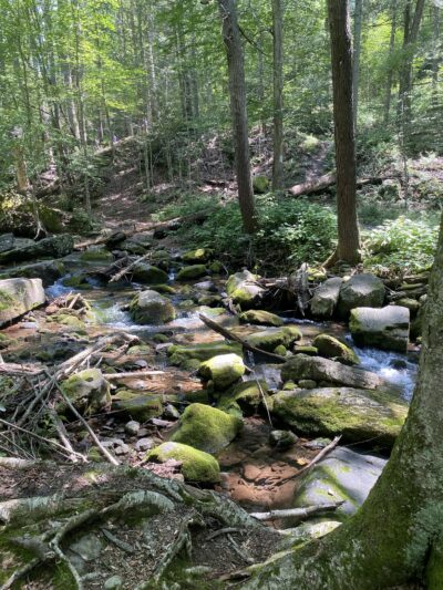 Dunnfield Creek Natural Area trailhead - Stroudsburg, PA