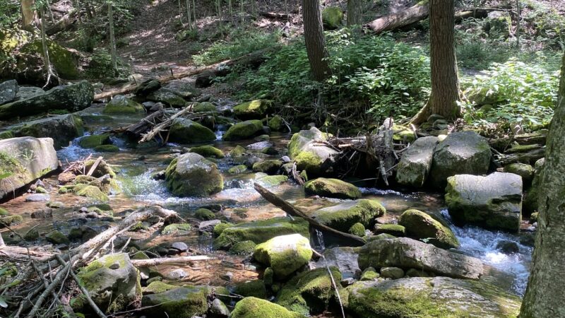 Dunnfield Creek Natural Area trailhead - Stroudsburg, PA