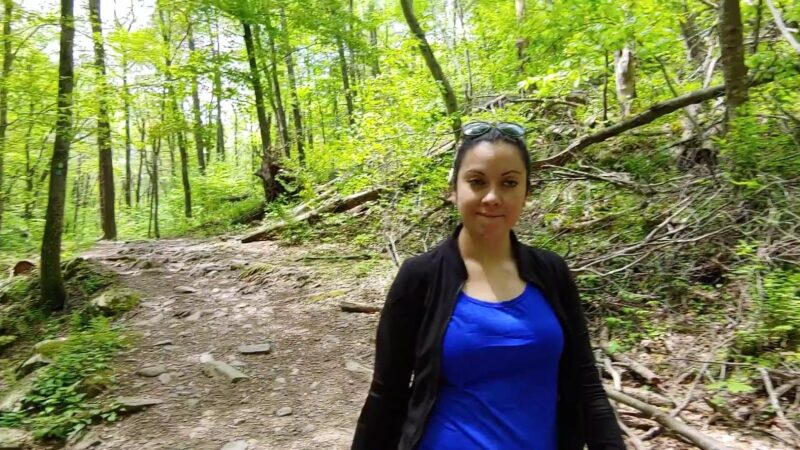 Dunnfield Creek Natural Area trailhead - Stroudsburg, PA