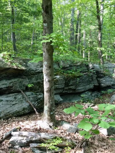 Riday Trailhead - Stroudsburg, PA