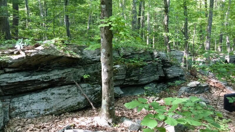 Riday Trailhead - Stroudsburg, PA