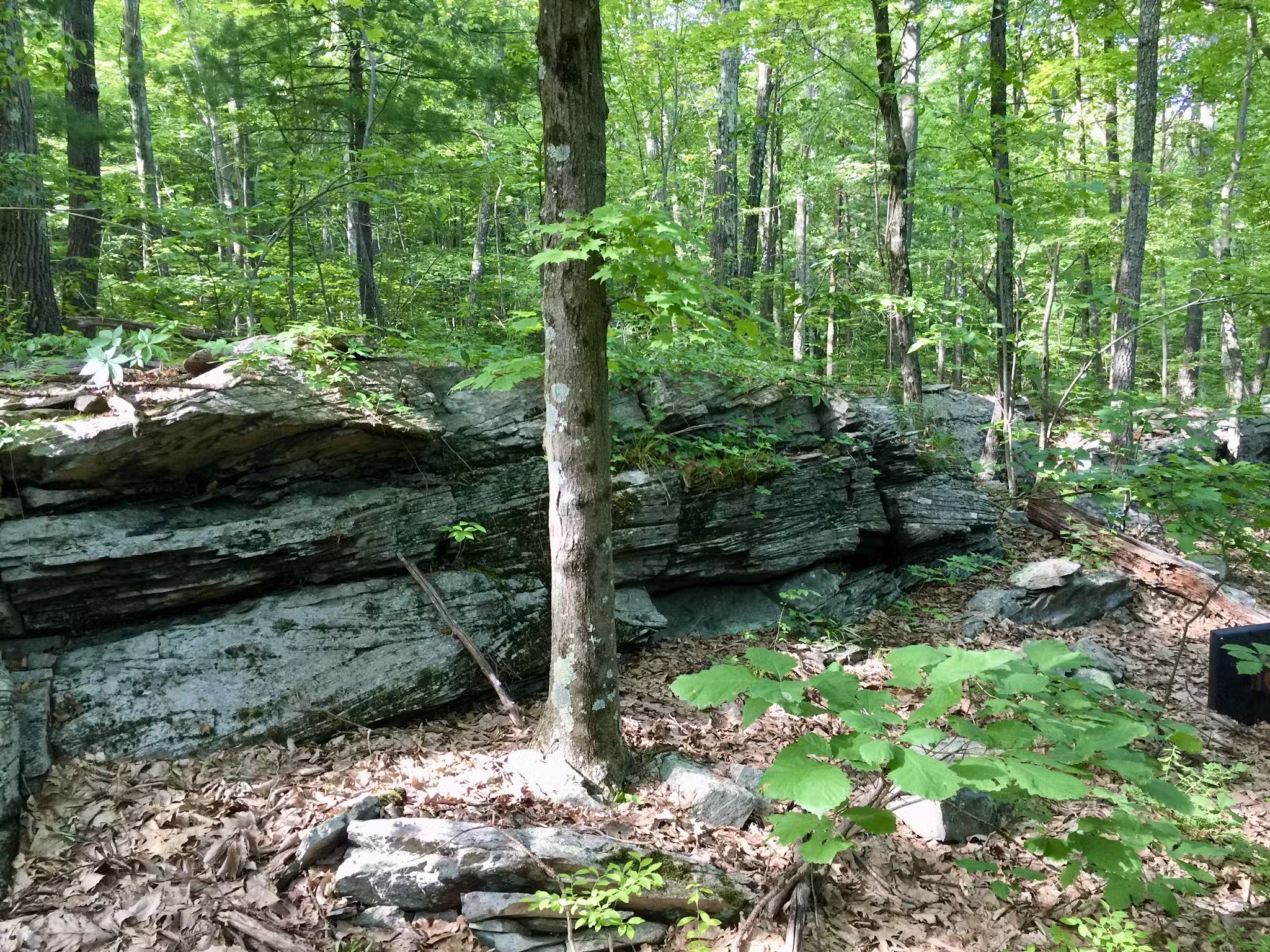 Riday Trailhead - Stroudsburg, PA