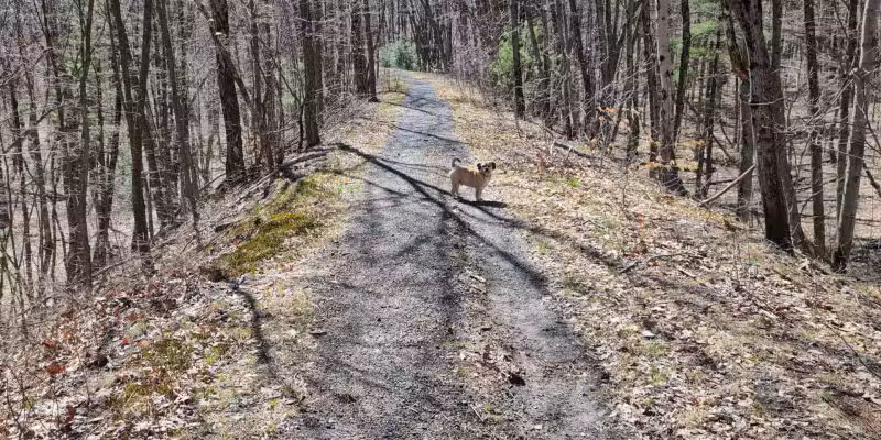 Riday Trailhead - Stroudsburg, PA