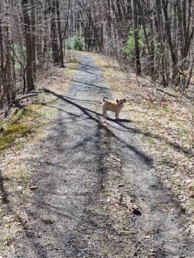 Riday Trailhead - Stroudsburg, PA