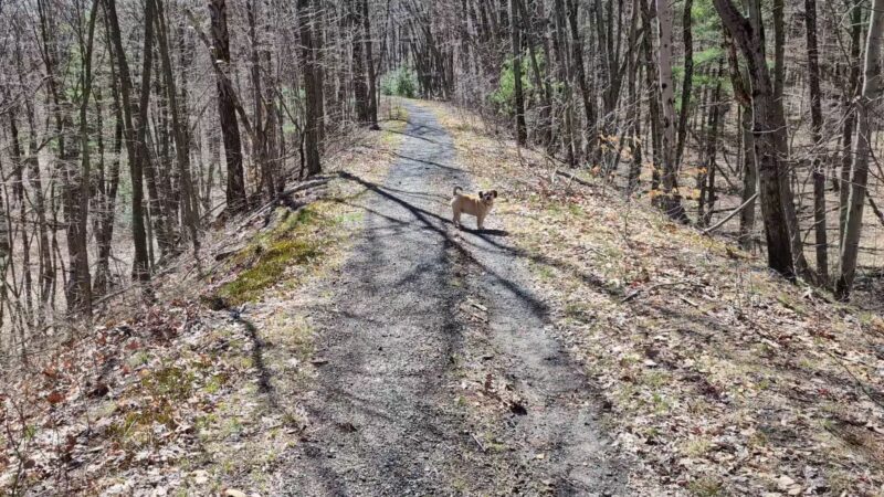 Riday Trailhead - Stroudsburg, PA
