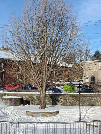 Ann Street Park - Stroudsburg, PA