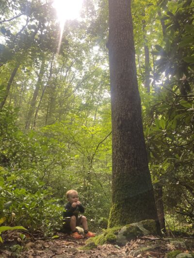Bowers Creek Trail - Stroudsburg, PA
