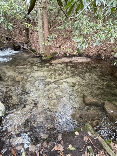 Bowers Creek Trail - Stroudsburg, PA