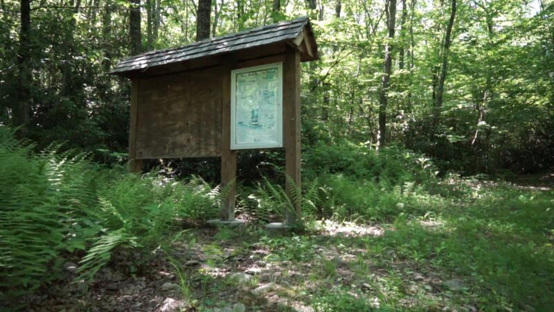 Bowers Creek Trail - Stroudsburg, PA