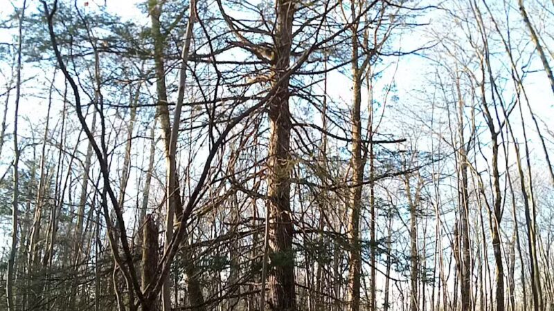 Conklin Park - Stroudsburg, PA