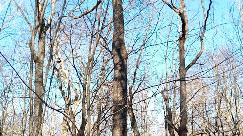 Conklin Park - Stroudsburg, PA