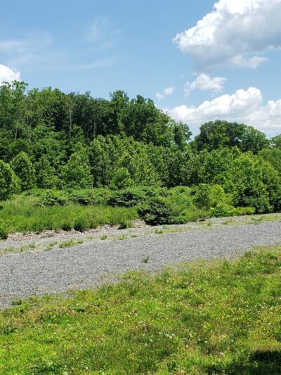 Creekview ParK ESU PSAC FIELD - Stroudsburg, PA