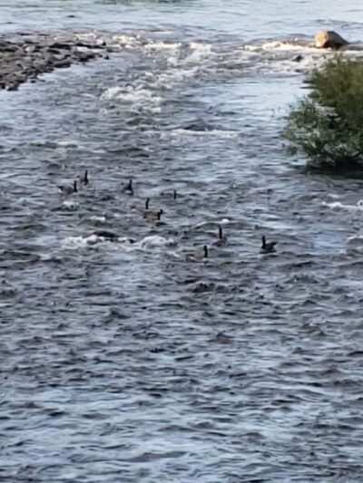 Creekview ParK ESU PSAC FIELD - Stroudsburg, PA