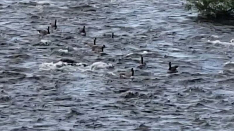 Creekview ParK ESU PSAC FIELD - Stroudsburg, PA