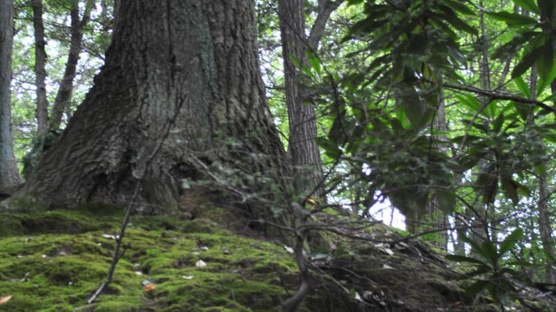 Glen Park - Stroudsburg, PA