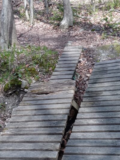 Glen Run Nature Preserve - Stroudsburg, PA
