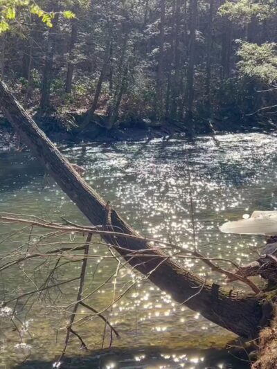 Hickory Valley Park - Stroudsburg, PA