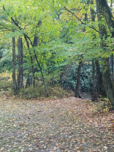 Hickory Valley Park - Stroudsburg, PA