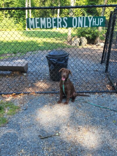 HJP Dog Park - Stroudsburg, PA