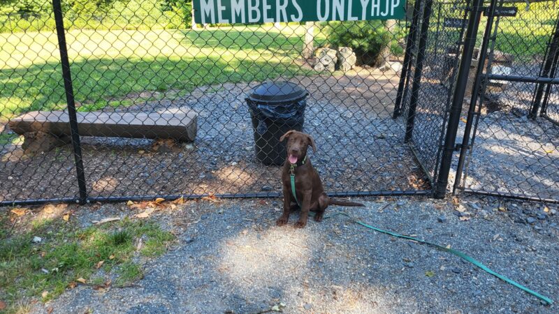 HJP Dog Park - Stroudsburg, PA