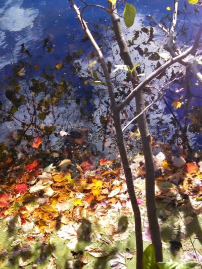 Katz Park - Stroudsburg, PA