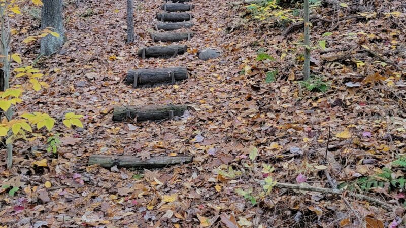 Rail Gap Pocono Creek Nature Preserve - Stroudsburg, PA