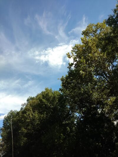 Rotary Park - Stroudsburg, PA