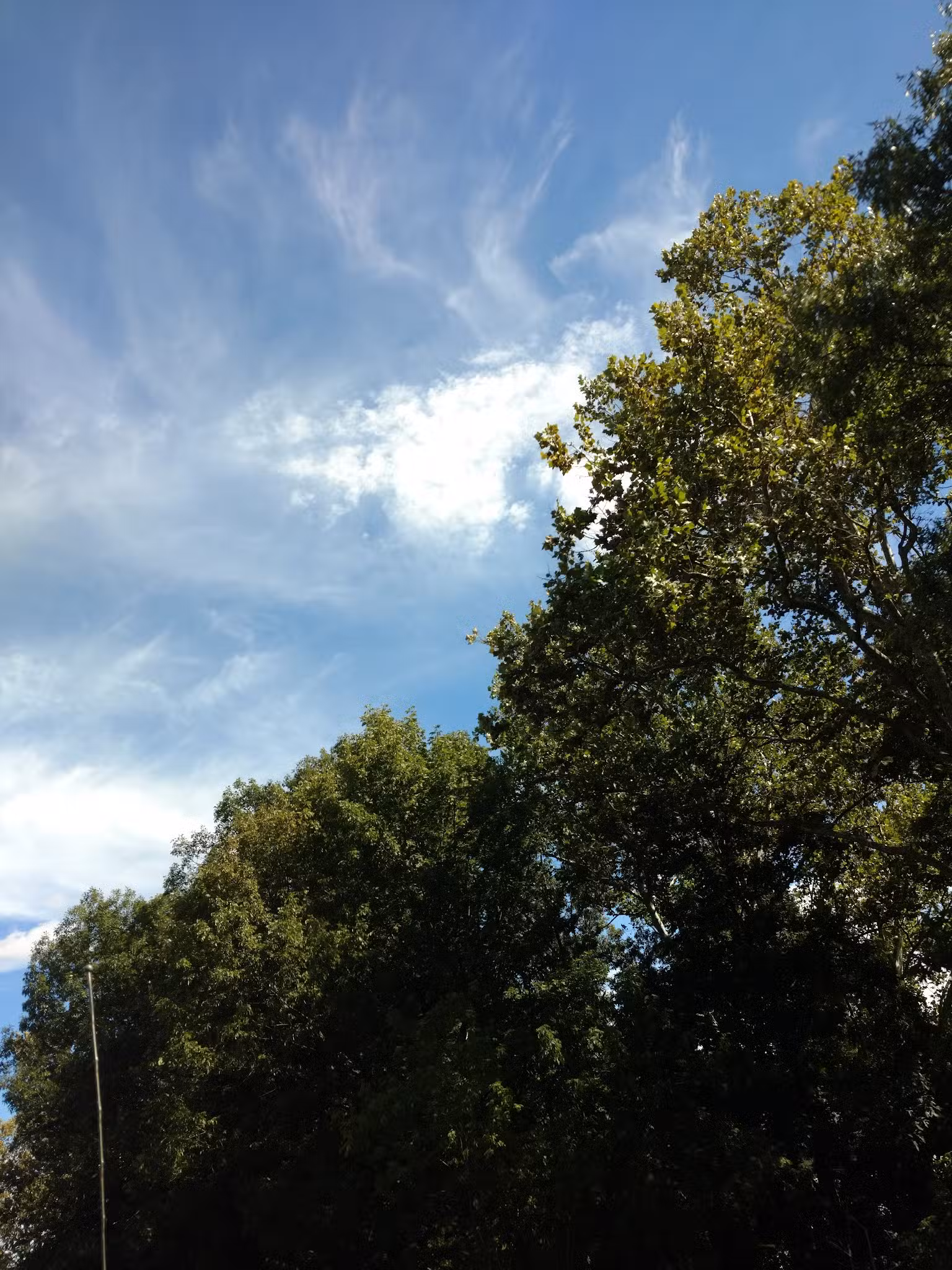 Rotary Park - Stroudsburg, PA