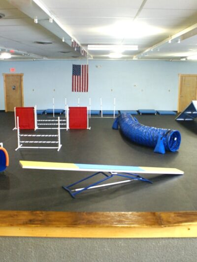 Sit, Stay, 'N Play - Stroudsburg, PA