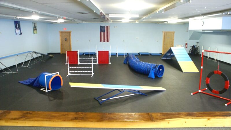 Sit, Stay, 'N Play - Stroudsburg, PA