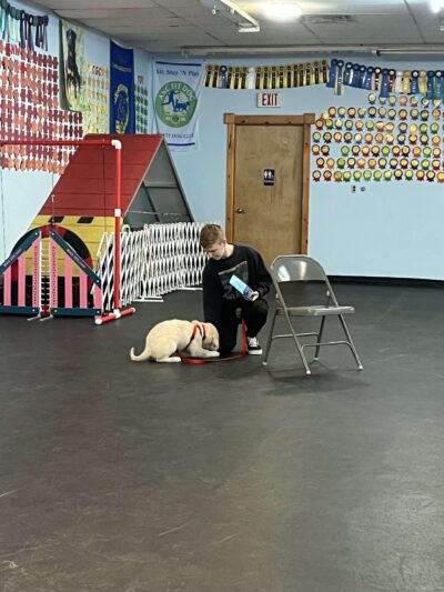 Sit, Stay, 'N Play - Stroudsburg, PA