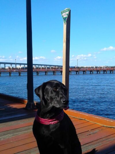 Healthy Trail - Stuart, FL